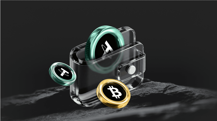 What is Dream Play Liquidity Medallions (DPLIQ) Coin?
