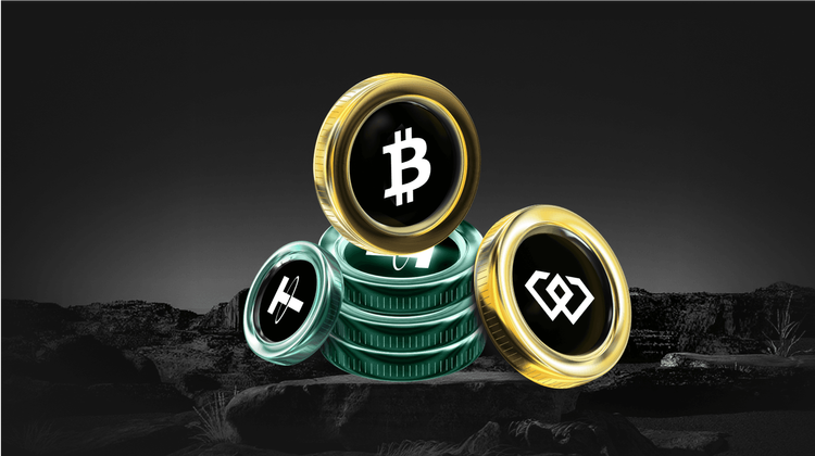 What is The Voter Dog (MAYA) Coin