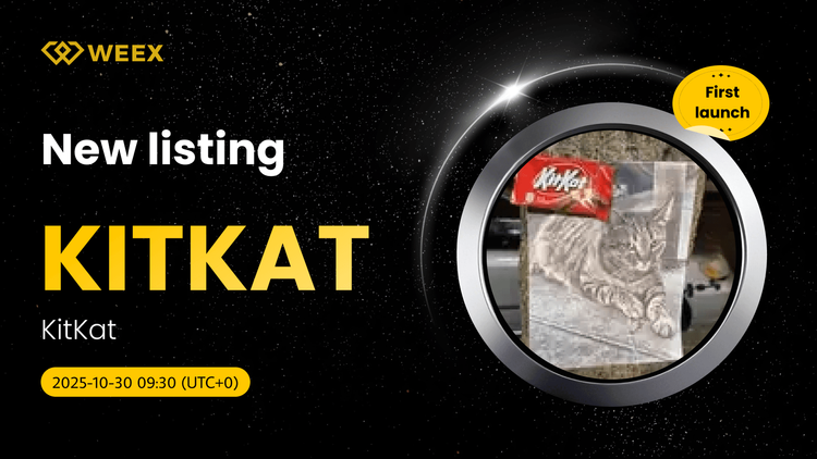 KITKAT USDT Is Live: WEEX Lists KitKat (KITKAT) Coin